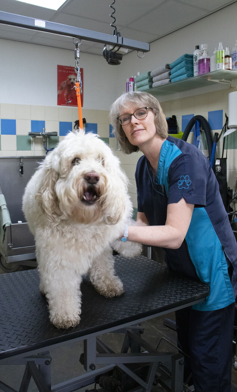 Jacqueline knipt een hond aan de trimtafel